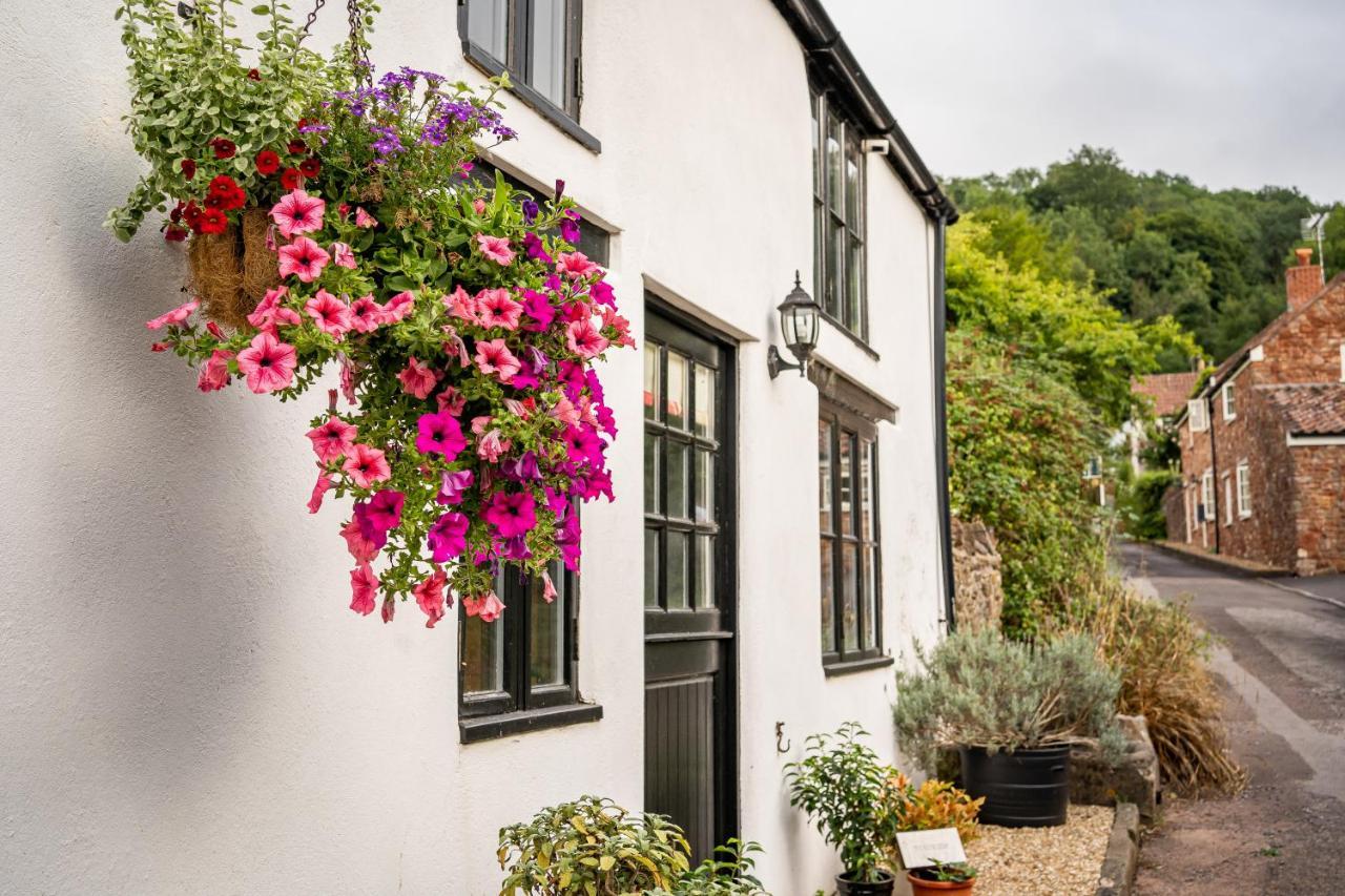 Woodview - Cosy 1840S Cottage In Chew Valley And Mendip Aonb Compton Martin Zewnętrze zdjęcie